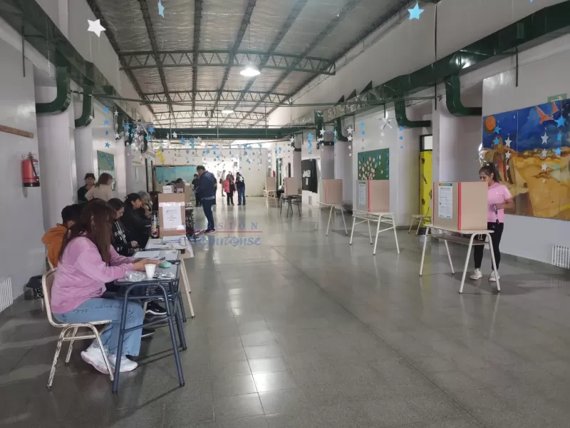 Más de once mil vecinos participan de las elecciones vecinales
