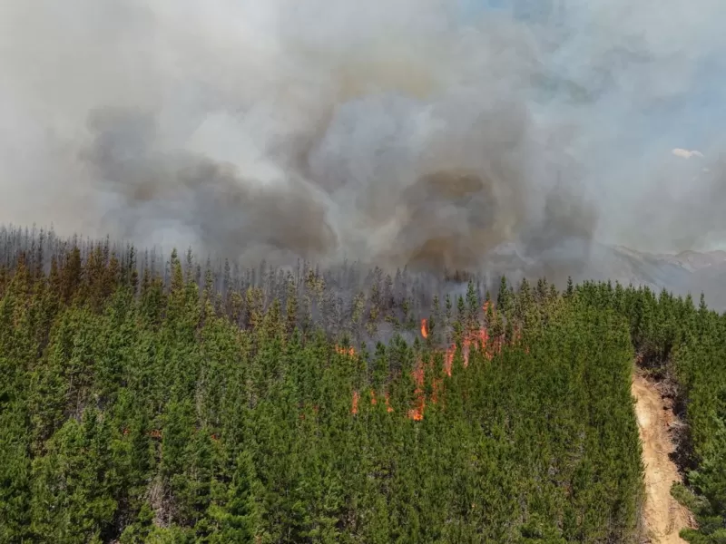 Fuerte operativo para controlar el incendio en Puerto Patriada