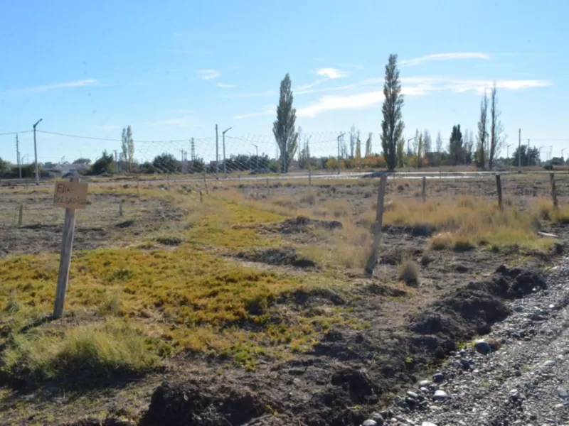 El Municipio denunci&oacute; ante la Justicia intentos de venta irregular en el Loteo Belgrano