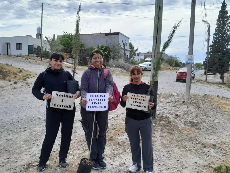 Jóvenes de barrio Corradi plantaron arbolitos