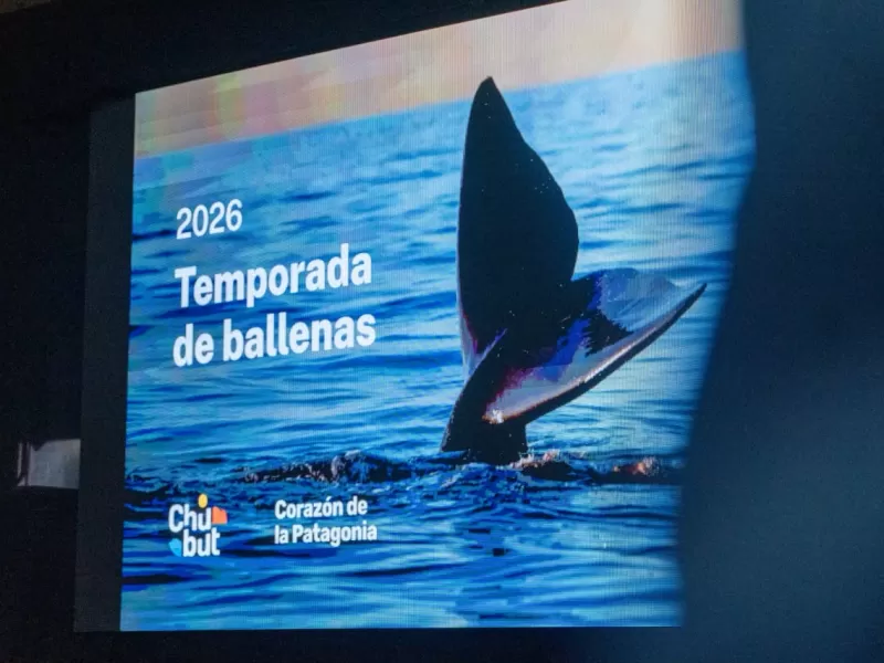 Torres inauguró la Temporada de Ballenas 2026 y pavimento en El Doradillo