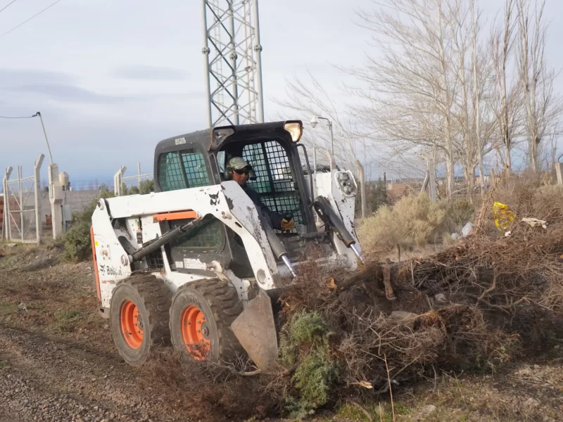 El Municipio realiz&oacute; tareas de desmalezamiento