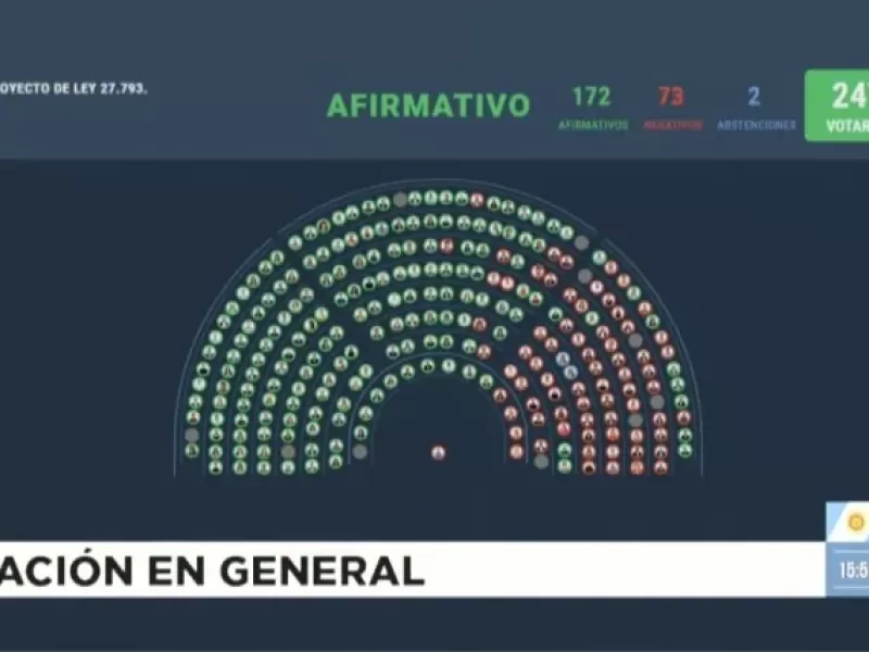 Diputados rechazó el veto a la emergencia en discapacidad