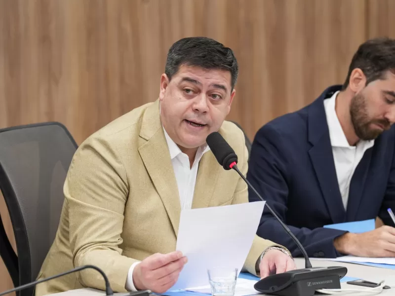 Treffinger presidir&aacute; una comisi&oacute;n en Diputados