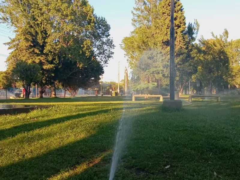 Tareas de mantenimiento de los espacios verdes