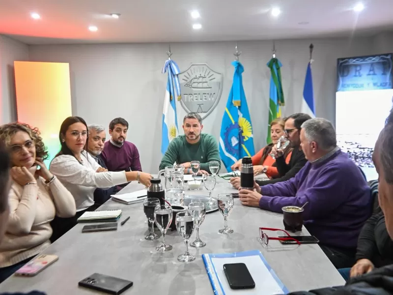 Merino se reuni&oacute; con concejales y Luz y Fuerza por la Cooperativa El&eacute;ctrica