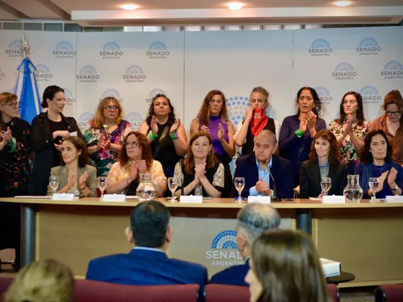 Proyecto de "falsas denuncias": Linares particip&oacute; de una conferencia contra la iniciativa