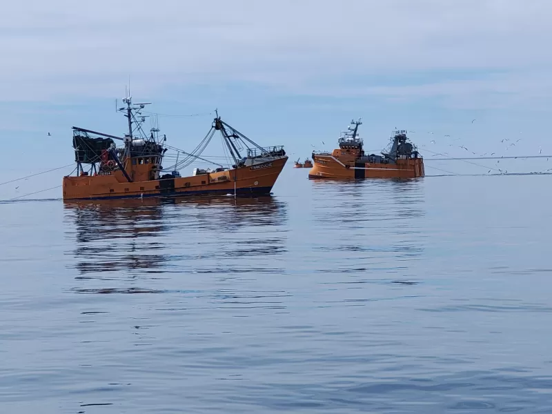 Chubut lidera los desembarques pesqueros del pa&iacute;s