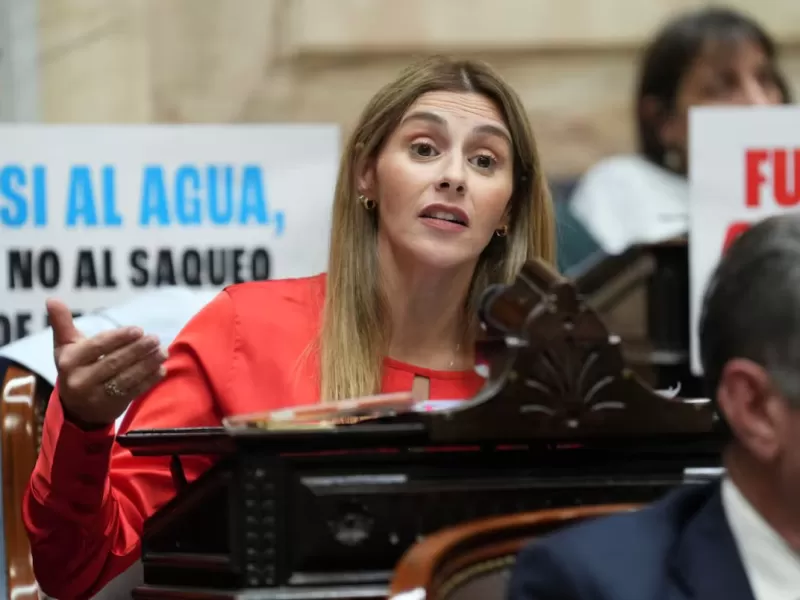 Pagano justific&oacute; su patrimonio y volvi&oacute; a pegarle a Adorni