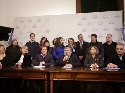 Senadores de Unión por la Patria rechazaron los vetos de Milei