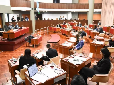 Los diputados aprobaron actualización de la ley referida al sello "Origen Chubut"
