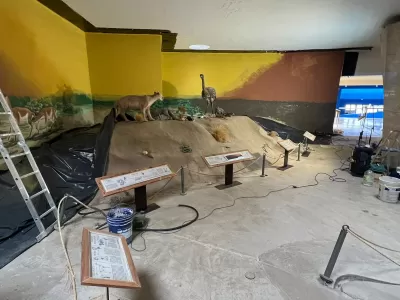Provincia realiza obras en el Área Natural Protegida Punta Tombo