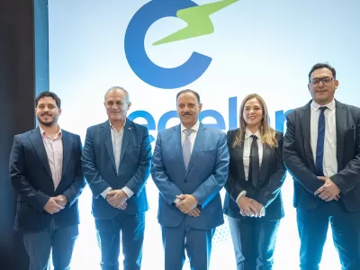 Quintela llam&oacute; a trabajar en el desarrollo de fuentes de energ&iacute;a "renovables, sustentables y amigables con el ambiente"