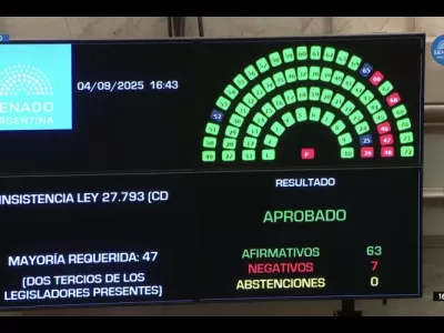 El Senado rechazó el veto a la emergencia en discapacidad
