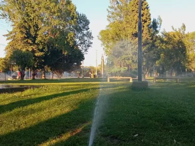 Tareas de mantenimiento de los espacios verdes