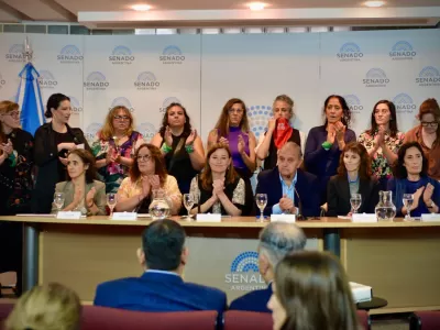 Proyecto de "falsas denuncias": Linares particip&oacute; de una conferencia contra la iniciativa